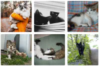 Nuxt 3 の Stable 版がリリースされたので触ってみる - 電通総研 テックブログ image