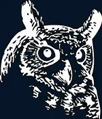Night Owl - Visual Studio Marketplace image