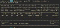 Dockerを使ってpytorch+cudaの環境を構築する - やったことの説明 image