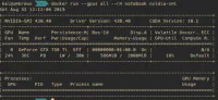 Dockerを使ってpytorch+cudaの環境を構築する - やったことの説明 image